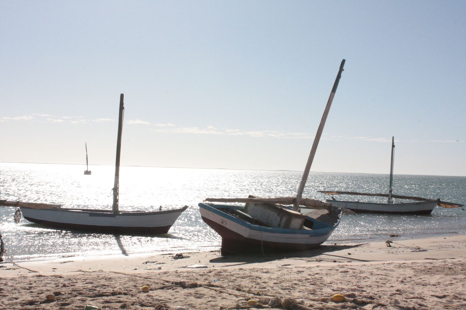 Lanches, voiliers traditionnels, échouées sur la plage du Banc d'Arguin.