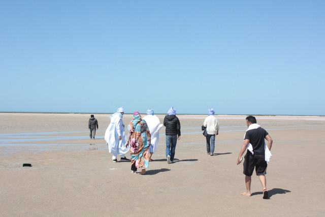 Marche sur la plage du Banc d'Arguin